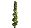 ONE 5' Pre-Potted Pond Cypress Artificial Topiary Tree