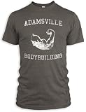 41qKN6uV PL. SL160  Vintage Distressed Adamsville Bodybuilding Tri Blend T Shirt Reviews
