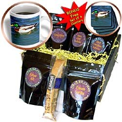 Birds - Mallard Duck - Coffee Gift Baskets - Coffee Gift Basket by 3dRose LLC