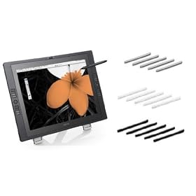 Wacom DTK2100 21-Inch Pen Display - Cintiq 21UX + Ultimate Nib Package [$70 VALUE] by 