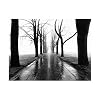 Jogger Art Poster Print by Larry Silver, 20x16