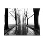 Jogger Art Poster Print by Larry Silver, 20x16