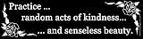 Practice Random Acts of Kindness and Senseless Beauty Bumper Sticker
