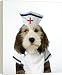 Dog - Petit Basset Griffon Vendeen puppy - 4 months old in nurse uniform - 20 Inch Canvas Print (51 cm) by Ardea