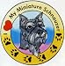 schnauzer22 - Miniature Schnauzer Suncatcher