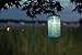 Allsop Home and Garden Soji Lime Leaf Cylinder, LED Outdoor Solar Lantern, Handmade with Weather-Resistant UV Rated Fabric, Stainless Steel Hardware, Chinese Style Light, 1-Count