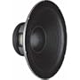 Selenium Loudspeakers 18SWS1100 Selenium 18 in. 4 in. Voice Coil 2200W