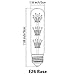 Kiven 3w T10 tubular vintage led antique light bulb
