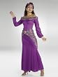 Aladdin's Princess Jasmine Halloween Costume Disney Movie Costume Arabian Nights Purple Dress
