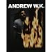 Andrew Wk - Fire Eyes Decal