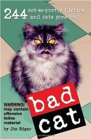 Bad Cat: 244 Not-So-Pretty Kitties and Cats Gone Bad
