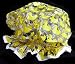 Ore Originals Living Goods Shower Cap Quack!