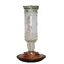 Perky-Pet 8107-2 Antique Bottle 10-Ounce Glass Hummingbird Feeder, Clear
