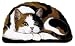 Calico Cat Ktty Kitten Sitten Kitten Paperweight