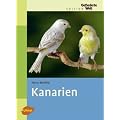 Kanarien -: Gesangskanarien, Farbenkanarien, Positurkanarien, Mischlinge