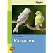 Kanarien -: Gesangskanarien, Farbenkanarien, Positurkanarien, Mischlinge