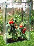 from GreatGardensOnline GreatGardensOnline Pack of 2 - Tomato Growhouses GGOMINIG10