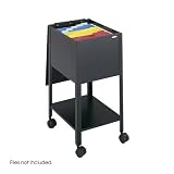 New-Safco 5360BL - Economy - SAF5360BL