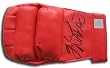 Gabriel Gonzaga Signed Mma Glove