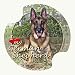 Set of Two German Shepherd Occasion Carsters - Style dpa3