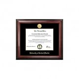 Central Florida Goden Knights Gold Embossed Diploma Frame