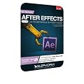 Apprendre After Effects Cs6. V1. Les fondamentaux du Motion Design. Formation vid�o compl�te en + de 8h.  (Dvd-rom PC-Mac)
