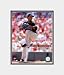 Matted Pedro Martinez New York Mets 8x10 Photo