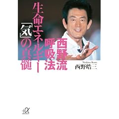 ���여�ċz�@�@�����G�l���M�[�u�C�v�̐^�� (�u�k�Ѓv���X�A���t�@����)