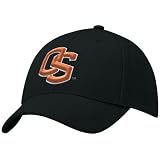 Nike Oregon State Beavers Black Swoosh Flex-Fit Hat