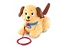 Fisher-Price Brilliant Basics Lil Snoopy (Colors May Vary)