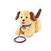 Fisher-Price Lil' Snoopy (Colours May Vary)