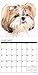 Just Shih Tzus 2017 Wall Calendar