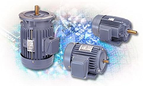 Adlee AC Induction Motor AEVF Motor 1/4 HP 4P 230/460-CSA