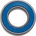 Enduro MAX 7902 AnCon Bearing
