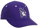 Northwestern Wildcats Child One-Fit Hat