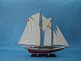 Bluenose 2 Limited 44