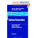 Carbon Nanotubes: Advanced Topics in the Synthesis, Structure, Properties and Applications (Topics in Applied Physics)