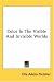 Color In The Visible And Invisible Worlds
