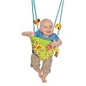 Sassy Seat Doorway Jumper, 3 Toys