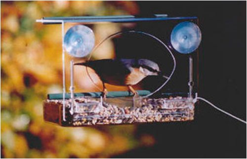 Childrens Toyshop  Outdoor Living : Meripac Window Feeder