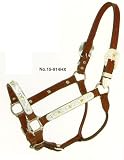 Silver Royal Premium Leather Show Halter Berry Mirror Edge with Gold Stars