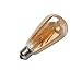 Aufitker Vintage Edison LED Bulb, 6W Antique LED Bulb Squirrel Cage LED Filament Light For Decorate Home, Gilded Glass Cover,2300K,E26 (E27) Screw Base (Warm White )(2 Pack)