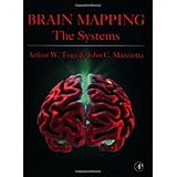 brain mapping the systems