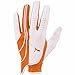 Puma Formstripe Perform Cadet Left Hand Glove