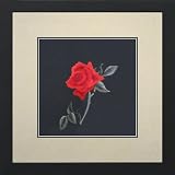 Susho, King Silk Art Handmade Silk Embroidery - Red Rose on Black - White Mat Framed Medium Size 36005WF
