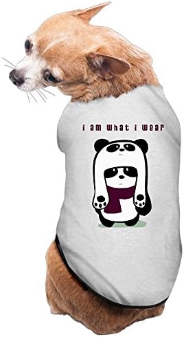 Panda I Am What I Wear Dog Costume Medium