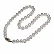 14k Yellow Gold  White Freshwater Cultured Pearl AA Grade 7.5-8mm Necklace, 16"
