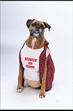 Big Dog Redneck Pet Costume