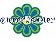 Cheer Flower Power T-Shirt (Youth S)