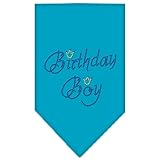 Mirage Pet Products Birthday Boy Rhinestone Bandana, Large, Turquoise